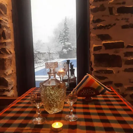 парк - макензен 酒店 梅尔尼克