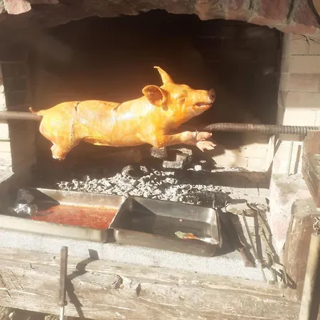 парк - макензен 酒店 3*