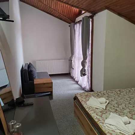 парк - макензен Hotel
