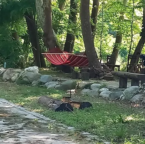 парк - макензен Hotel